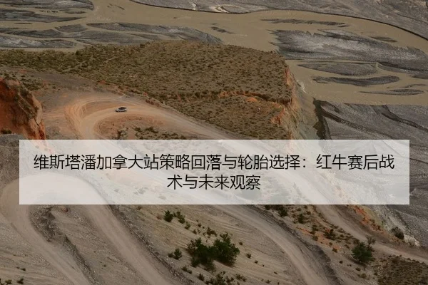 维斯塔潘加拿大站策略回落与轮胎选择：红牛赛后战术与未来观察